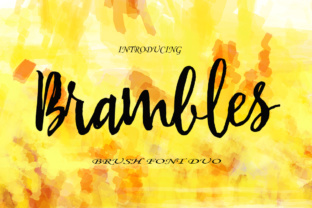 Brambles: A Designer’s Honest Take on This Script Font