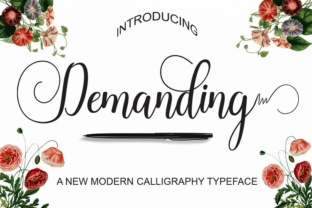 Demanding: A Stylish Script Font for Web Design